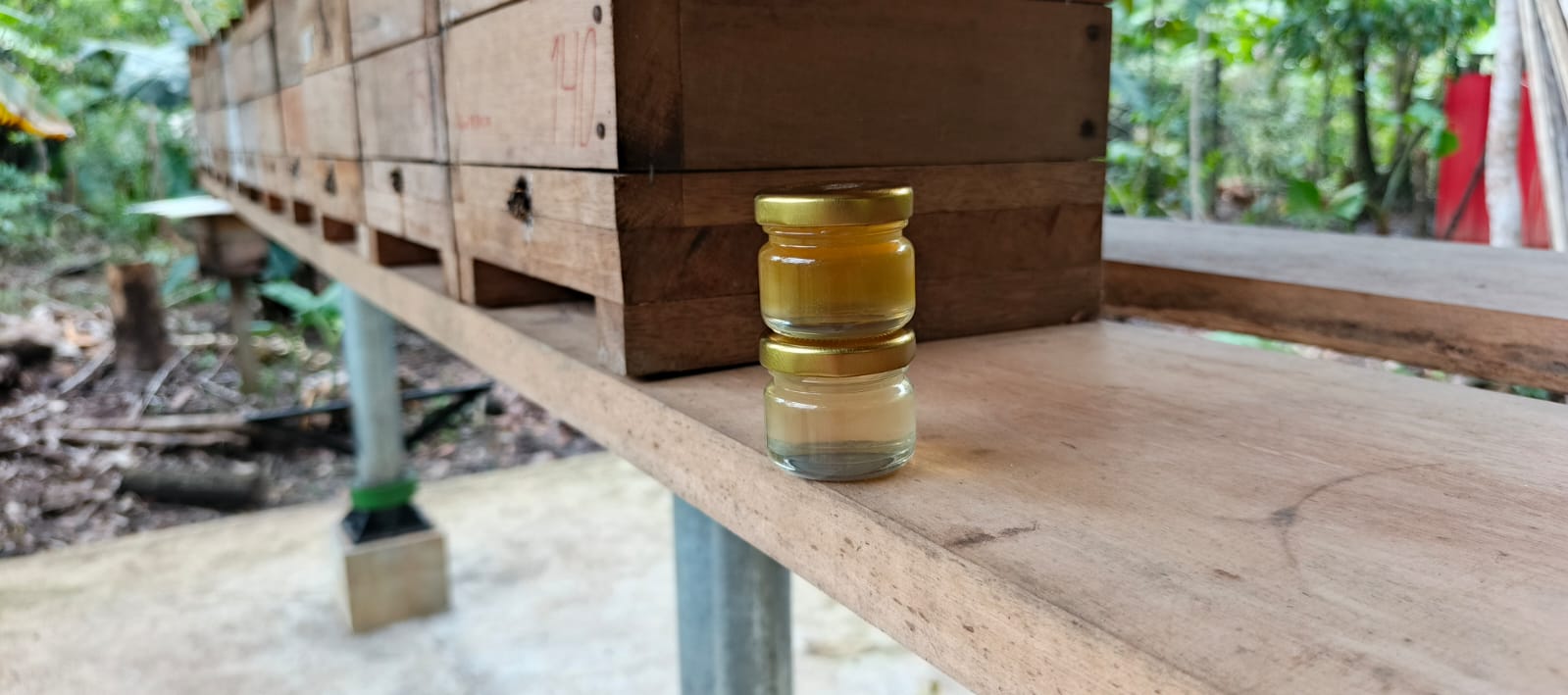 Miel pura del bosque